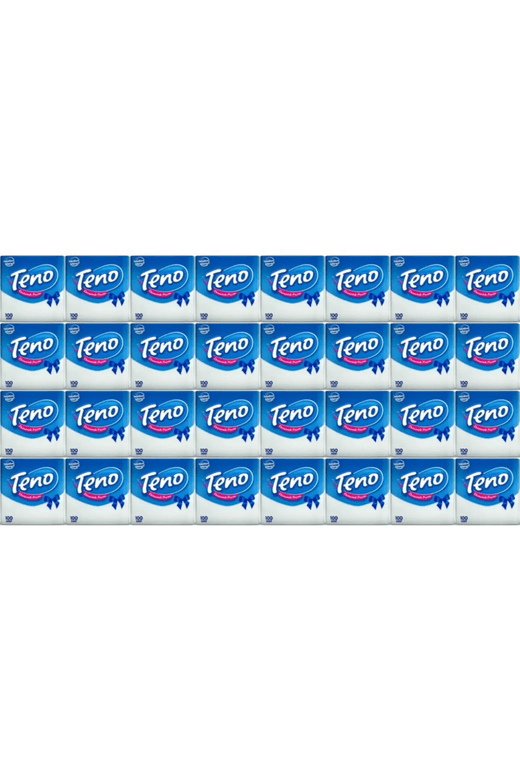 01062024 Teno Peçete 100 Lü *32