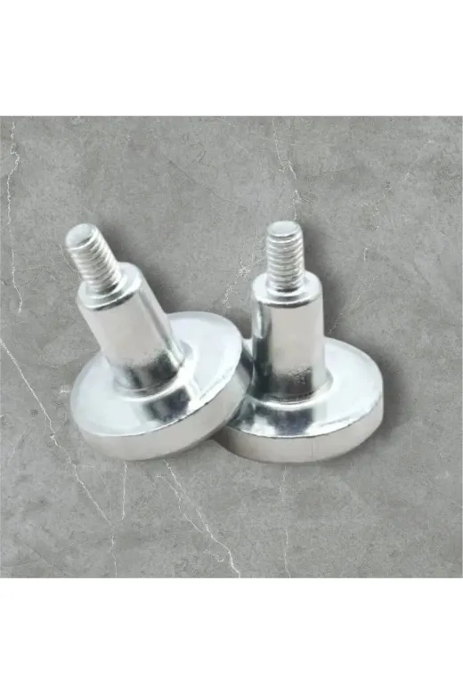 10 Adet Metrik 3 Vida Başlı Neodyum Neodmiyum Mıknatıs
