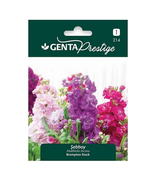 1001 Fidan 57855210125099480184975 Genta Prestige Şebboy Çiçek Tohumu 20Beyazcipso
