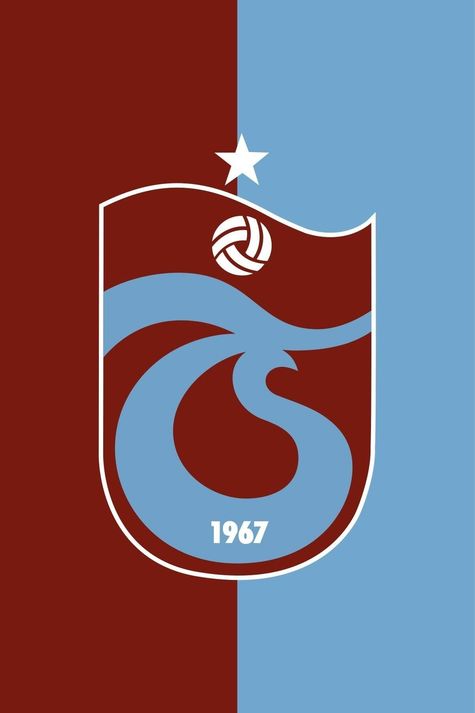 150*200 Cm Asmalı Bayrak Parçalı