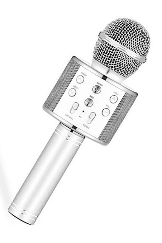 AK00728 Dvip Karaoke Mikrofon Bluetooth Hoparlör
