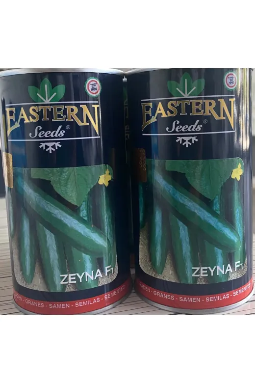 AKGEN TARIM AKG24THM Zeyna F1 Eastern Seeds Hasel Hiyar Tohumu(Hibrit Hiyar)-2500 Adetli