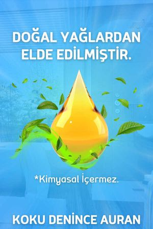 Amber Romantik Parfümlü Oda Ve Çamaşır Spreyi Ortam Ve Kumaş Kokusu Spray 250 ml