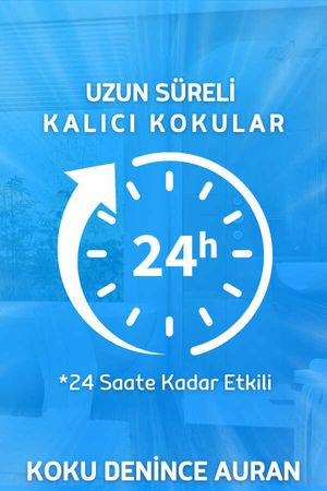 Amber Romantik Parfümlü Oda Ve Çamaşır Spreyi Ortam Ve Kumaş Kokusu Spray 250 ml