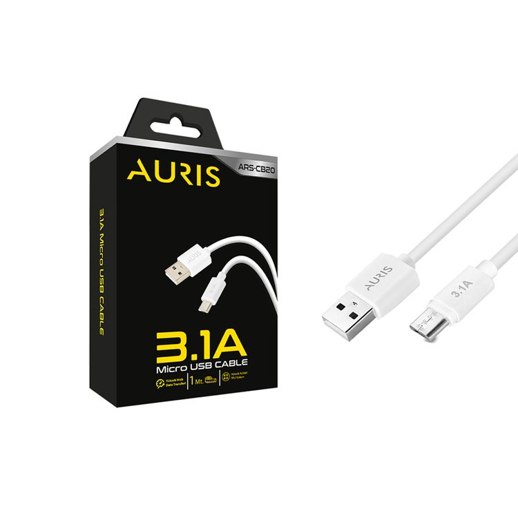 Ars-Cb20 Eco Micro Kablo 3.1A