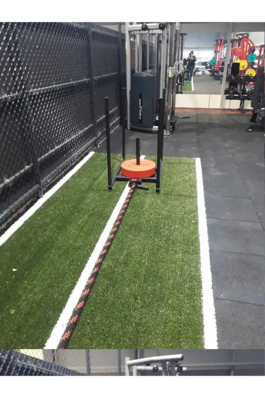 ASSASPOR CRS-139 Crossfit Kizak (Büyük) Spor Çalışma İstasyonu Profesyonel