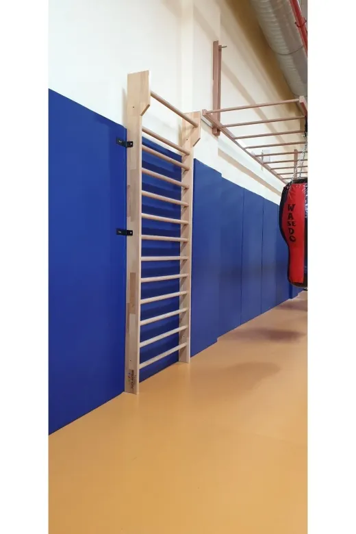 ASSASPOR Jimnastik Ve Fizik Tedavi Rehabilitasyon Parmaklık Barfiksli (Jim-007)