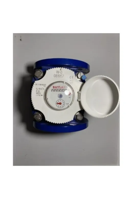 Baylan SS2305 Rekorlu Tarımsal Su Sayacı 2 1/2"