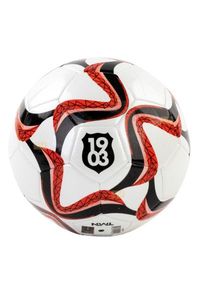 Beşiktaş Futbol Topu We No:5