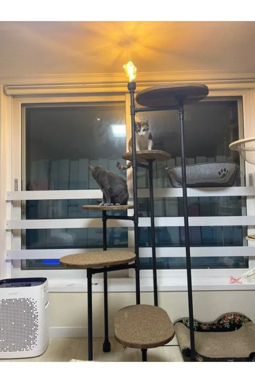 Blbndesign RafNo384 Dekoratif Borudan Kedi Merdiveni