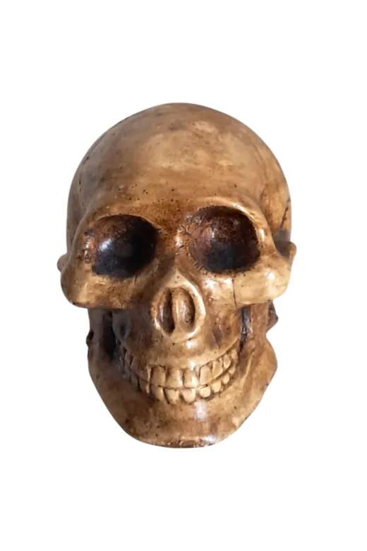 burefe BH-0005 Kurukafa Biblo