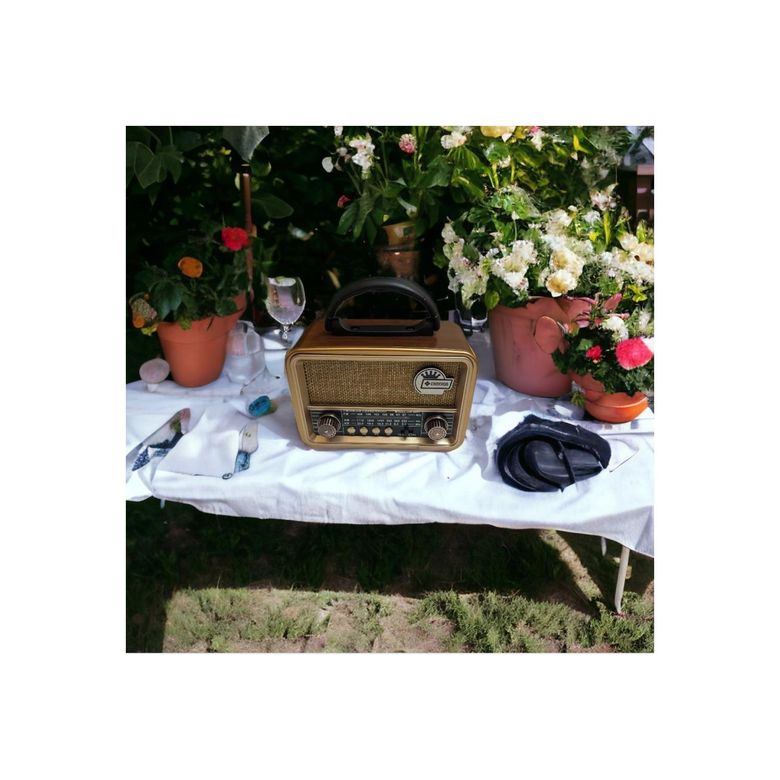 Cameron Cm-860Tbt Nostaljik Radyo Usb Ve Tf Kart Oynatıcı 3 Band Fm Radyo Müzik Kutusu