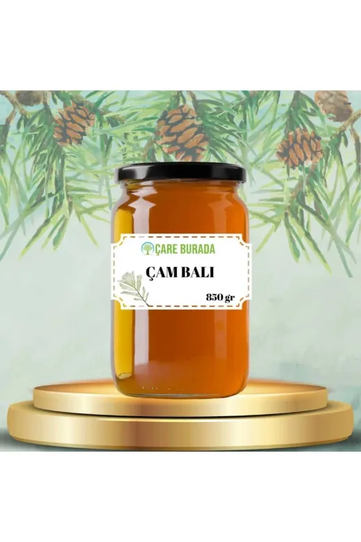 Çare Burada balmucar Çam Balı Muğla Bölgesi 850 Gr