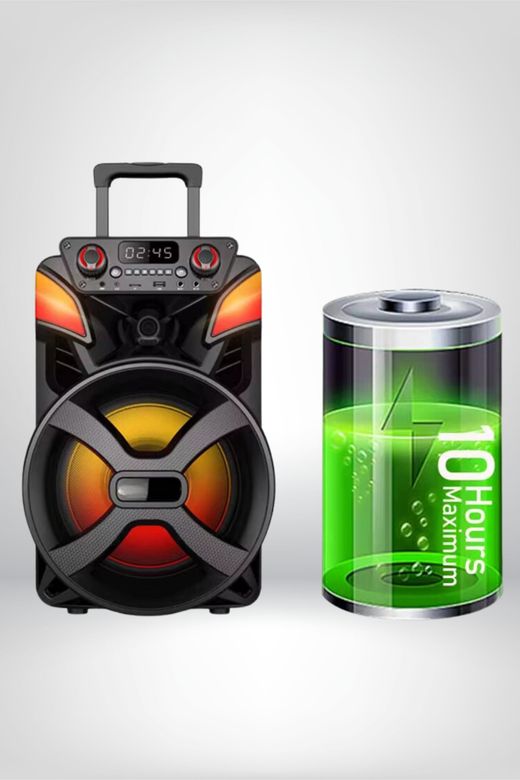CdRlHrfxke Subzero Wr169 Profosyonel Işıklı Kablosuz Mikrofonlu Bluetooth Hoparlör
