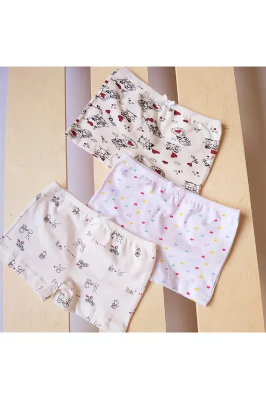 Ceylanoğlu 344 Kız Çocuk 6'lı Desenli Boxer