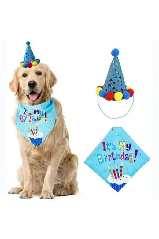 DGY STORE EmrK75T95415 Köpekler İçin Doğum Günü Partisi Seti