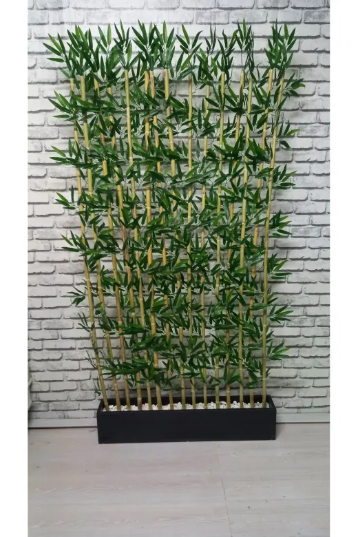 ERHAN FLOWERS 120.200 120 Cm Saksida 200 Cm 24 Adet Bambu Speratör Özel Yapım