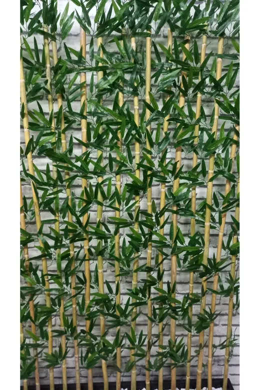 ERHAN FLOWERS 220.100 Bambu Speratör 220 Cm Boy 100 Cm Saksıda 15'li