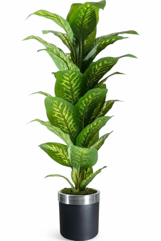 ERHAN FLOWERS ÇİÇEK & DEKORASYON ypy.agç.00026 Yapay Ağaç Difenbahya 170 Cm Siyah Gümüş Saksı