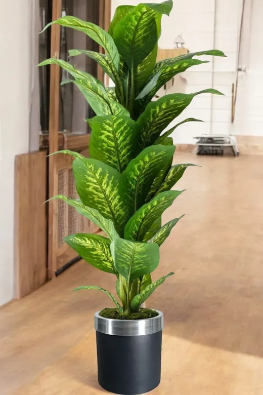 ERHAN FLOWERS ÇİÇEK & DEKORASYON ypy.agç.00026 Yapay Ağaç Difenbahya 170 Cm Siyah Gümüş Saksı