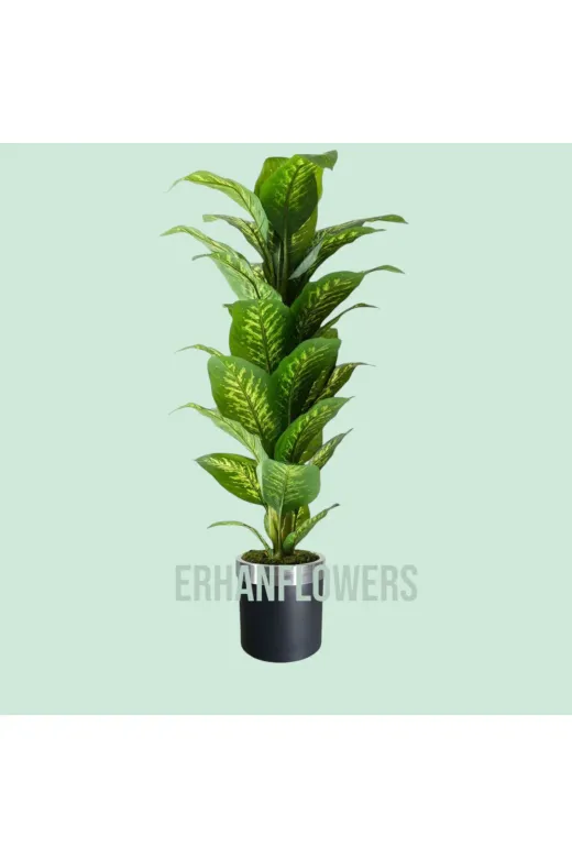 ERHAN FLOWERS ÇİÇEK & DEKORASYON ypy.agç.00026 Yapay Ağaç Difenbahya 170 Cm Siyah Gümüş Saksı