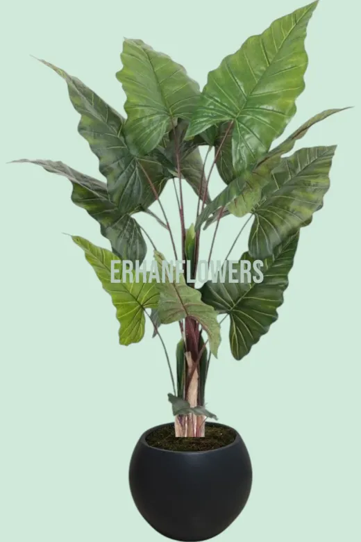 ERHAN FLOWERS ÇİÇEK & DEKORASYON ypy.agç.00083 Yapay Fil Kulagı 180 Cm Siyah Gold Saksı