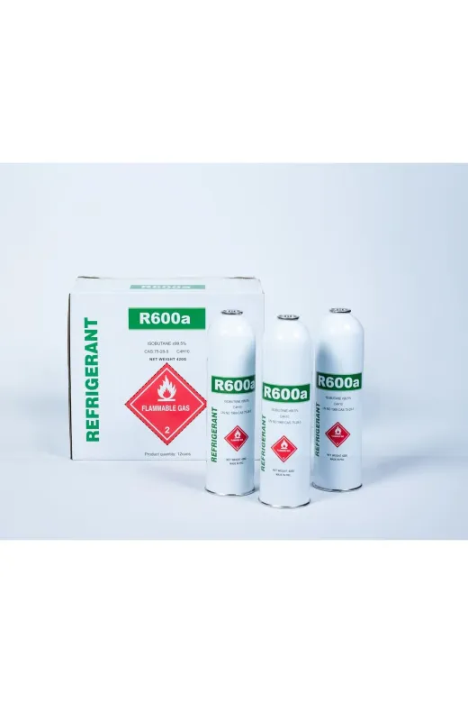 Ermiya 869600006400 12 Adet R600A Gaz Refrigerant 400 Gr