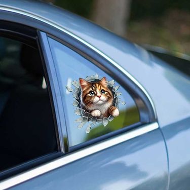 ETT 562741420580 Fulcar Stray Araç Stickerı