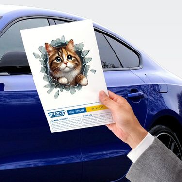 ETT 562741420580 Fulcar Stray Araç Stickerı