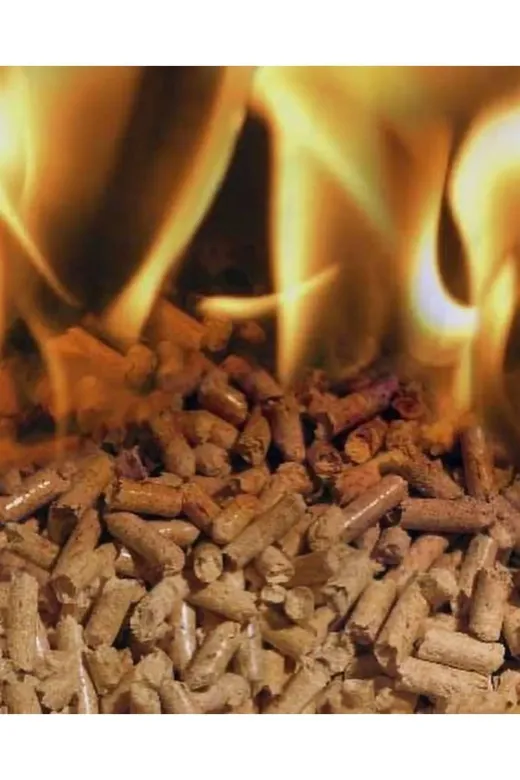 EYLÜL MASALI KAMP plt001 Pelet Yakıt , Pelet Kedi Kumu, Kemirgen Talaşı %100 Çam Peleti 6 Mm Doğal Çam Talaşı 15 Kg / 30 Lt