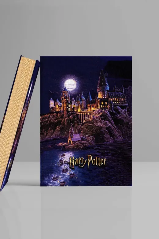 GiFi 216 51 11 Kitap Görünümlü Dekoratif Kutu Harry Potter 16,5X24,5 Cm Lisanslı Hogwarts Binası