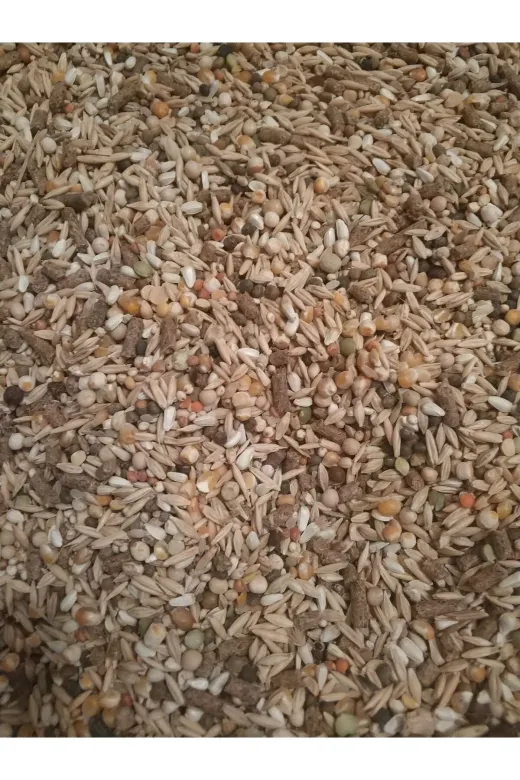 GoldMind krsyem1 1Kg Mix Karışım Yem, Kemirgen Yemi (16 Çeşit). Chinchilla, Tavşan, Hamster Için 1Kg