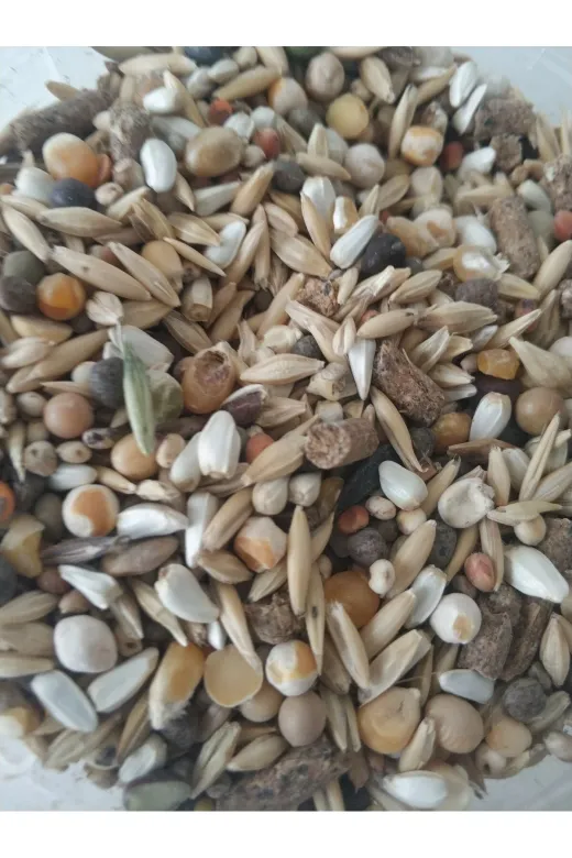 GoldMind TYC276FB4EC1680A00 2Kg Mix Karışım Yem, Kemirgen Yemi (16 Çeşit). Chinchilla, Tavşan, Hamster, Ginepig, Için Uygun.2Kg