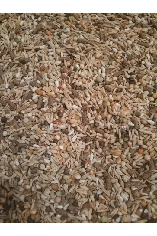 GoldMind TYC276FB4EC1680A00 2Kg Mix Karışım Yem, Kemirgen Yemi (16 Çeşit). Chinchilla, Tavşan, Hamster, Ginepig, Için Uygun.2Kg