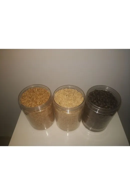 GoldMindMix kmrbuyuay0.5 Kemirgen Yemi Üçlü Set 3X0.5Kg (Buğday, Yulaf, Ayçekirdeği) Ayrı Poşetlerde.