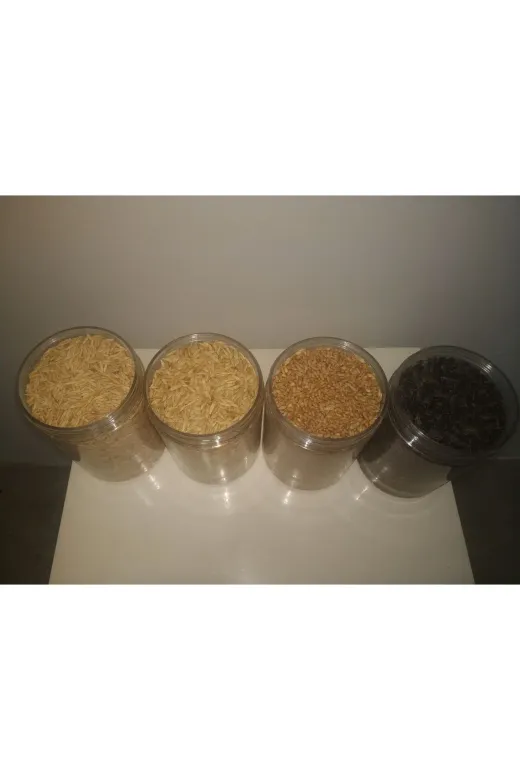 GoldMindMix kmryuarbuay0.5 Kemirgen Yemi Dörtlü Set 4X0.5Kg (Yulaf, Arpa, Buğday, Ayçekirdeği) Ayrı Poşetlerde.