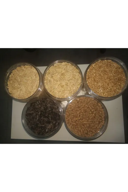 GoldMindMix kmryuarbuaype1 Kemirgen Yemi Beşli Set 5X1Kg (Yulaf, Arpa, Buğday, Ayçekirdeği, Cp Pelet Yem) Ayrı Poşetlerde.