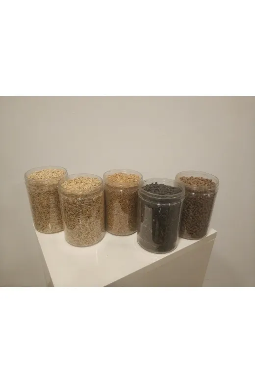 GoldMindMix kmryuarbuaype1 Kemirgen Yemi Beşli Set 5X1Kg (Yulaf, Arpa, Buğday, Ayçekirdeği, Cp Pelet Yem) Ayrı Poşetlerde.