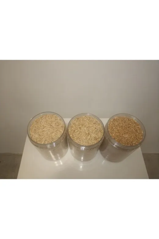 GoldMindMix TYC359ce4c8a442f9d8c5501 Kuş Yemi Üçlü Set 3X1 Kg (Yulaf Arpa, Buğday) Ayrı Poşetlerde.