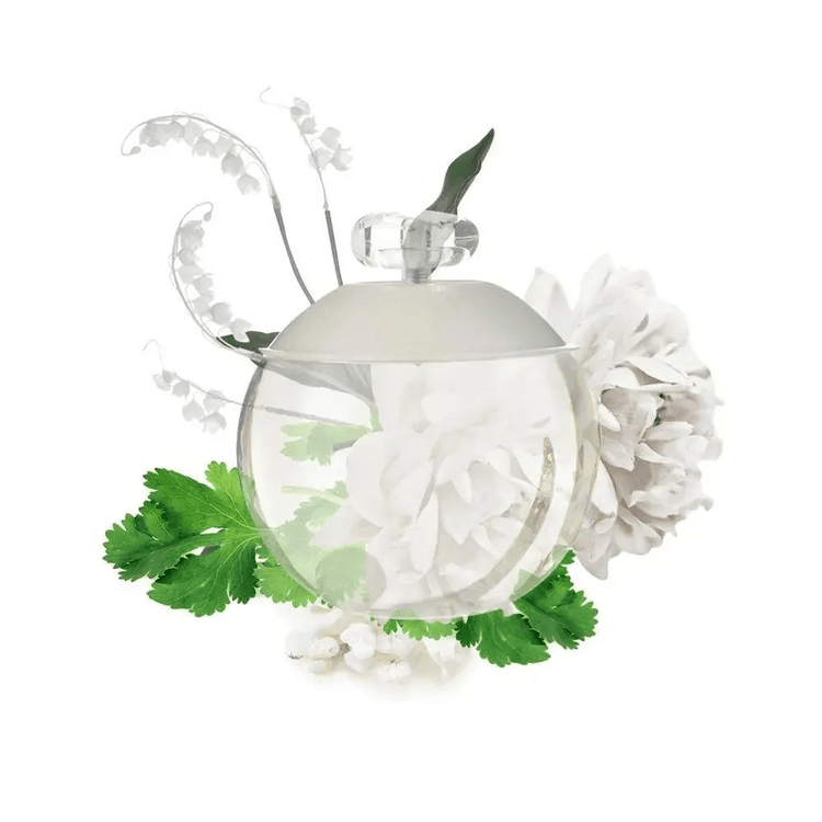 güngörenw365 Cacharel Noa Edt 100 Ml