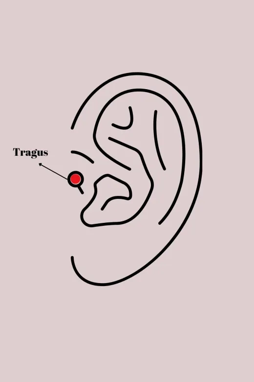 Hafk HFK-MMEYEB673f4389f7b9ab035c0cc6e9 Mey İthalat® 316L Çelik Gümüş Renk Zirkon Taşlı Ay Yıldız Model Tragus Piercing