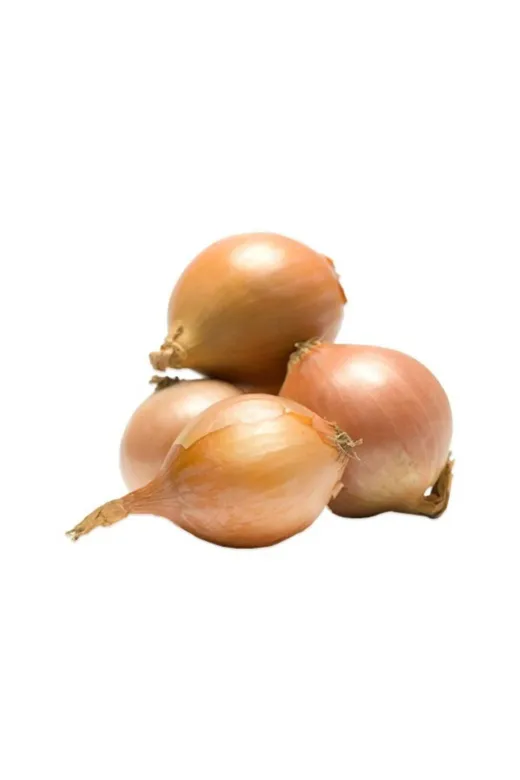 KALAMAN ONLİNE 590 Arpacık Soğan 500 Gr