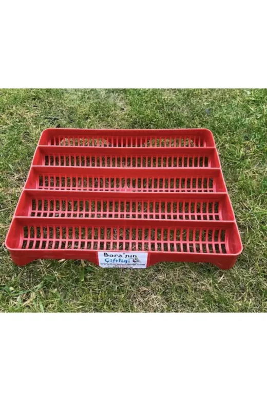 KARAHİSAR KULUÇKA KRH-36KV603801 36 Lık Kaz Yumurta Viyolü
