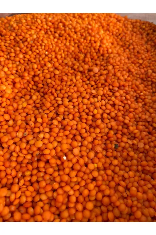 Kirmizi Mercimek 3 Kg