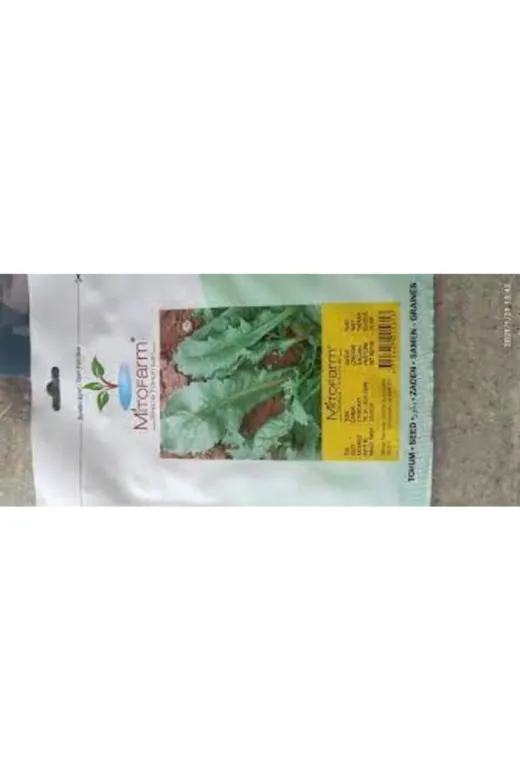 Mitofarm Tohumculuk 222369 Mitofarm Geniş Yaprak Tere Tohumu * *yaklaşık 3000 Adet Tohum / 5 Gr