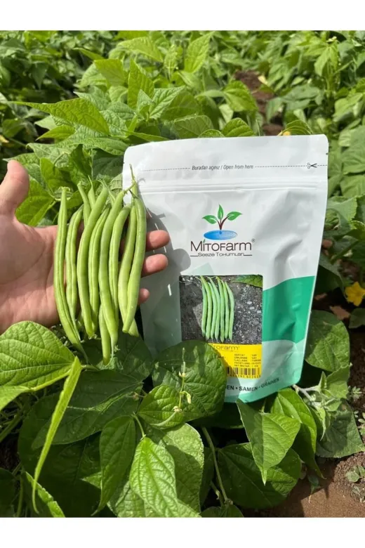 Mitofarm Tohumculuk MitofarmELİF Mitofarm Fasulye Elif 1 Kg Hibrit