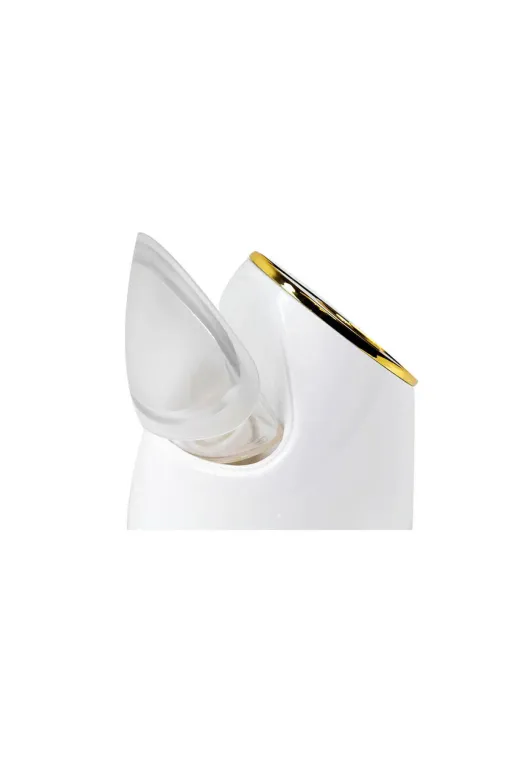 Nascita NASBC00011 Yüz Buhar Makinesi Nano Ionic Facial Steamer Prestige Grup