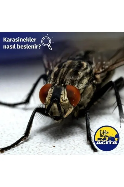 PROVET 553250854 Agita 10 Wg Karasinek Ilacı 100 Gr Karasinek Kovucu Sineksavar Ücretsiz Aynı Gün Kargo !!