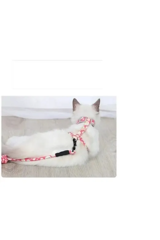 SML DNM34121 Kedi Gezdirme Göğüs Tasması