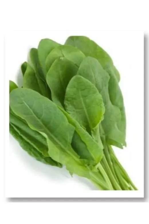 SÖKMEN CENTER KUZUKULAĞITOHUM01 Mitofarm Gürsel Kuzukulağı Tohumu 5 Gr